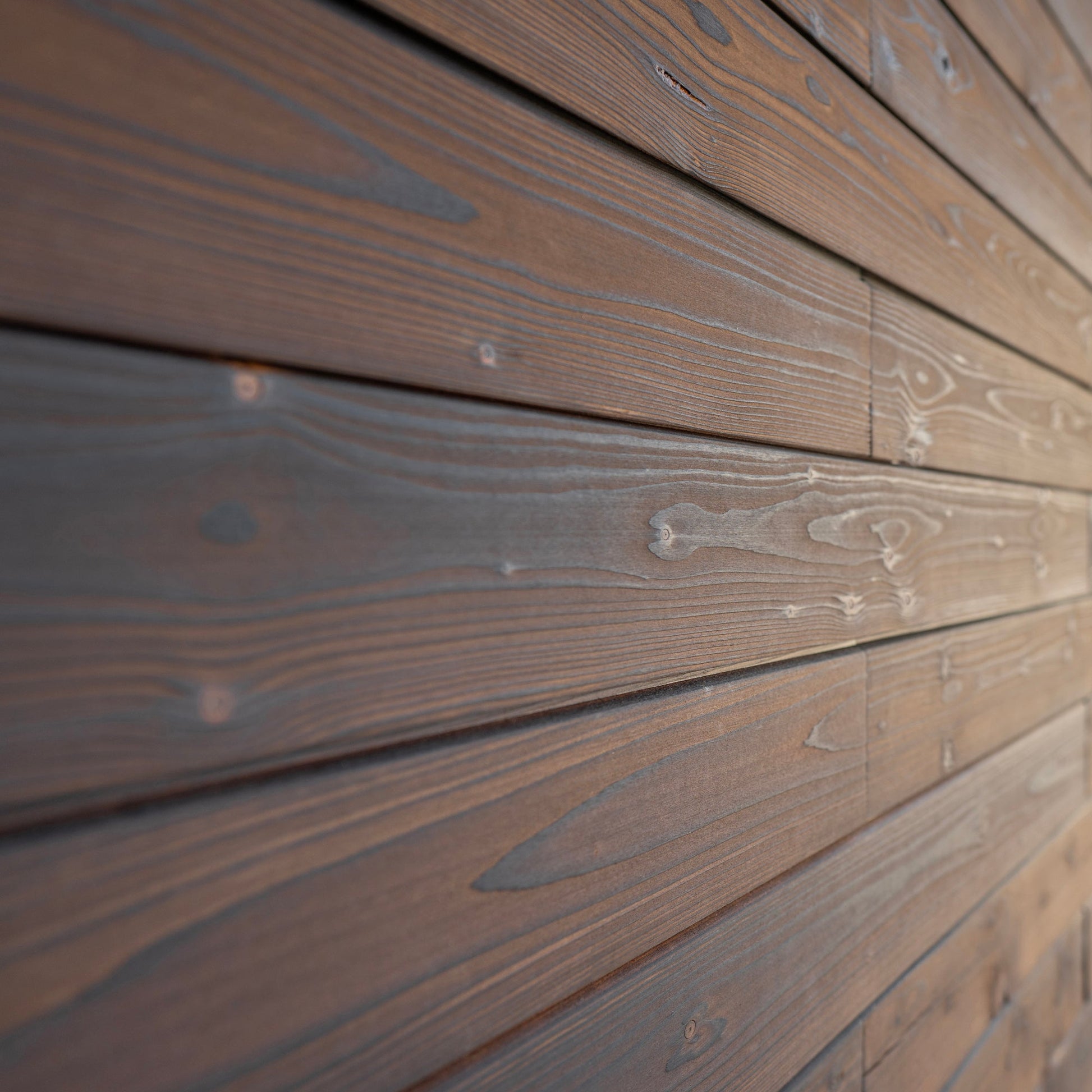 Charred Wood Wall Cladding - Shou Sugi Ban Medium Roast Timber Panels - Wall Panelling by Audrini Living