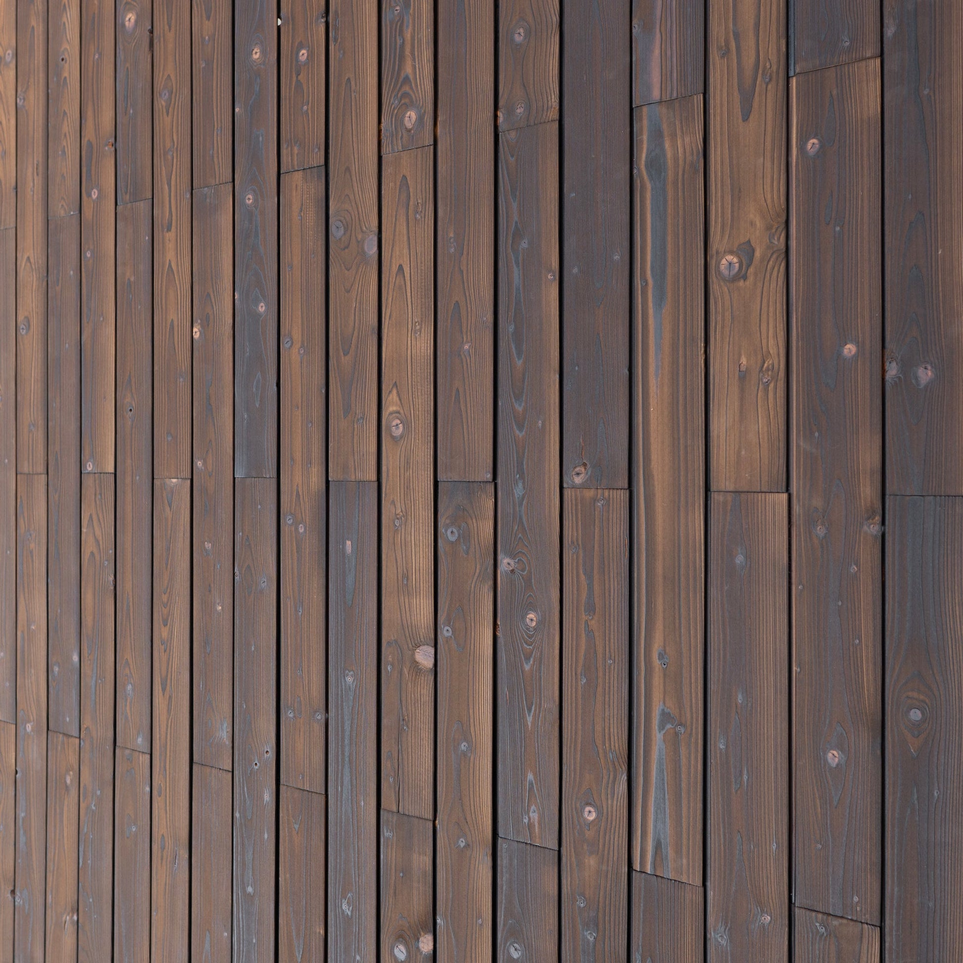 Charred Wood Wall Cladding - Shou Sugi Ban Medium Roast Timber Panels - Wall Panelling by Audrini Living