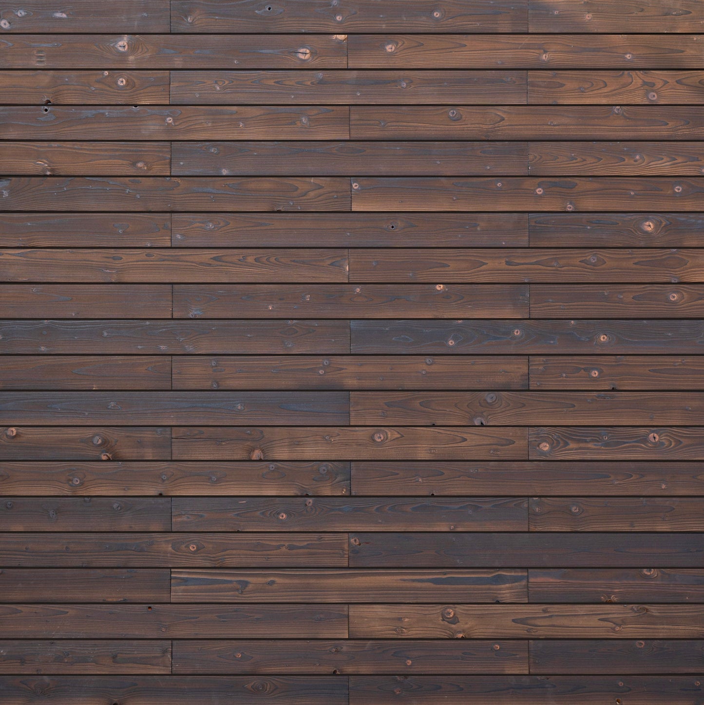 Charred Wood Wall Cladding - Shou Sugi Ban Medium Roast Timber Panels - Wall Panelling by Audrini Living
