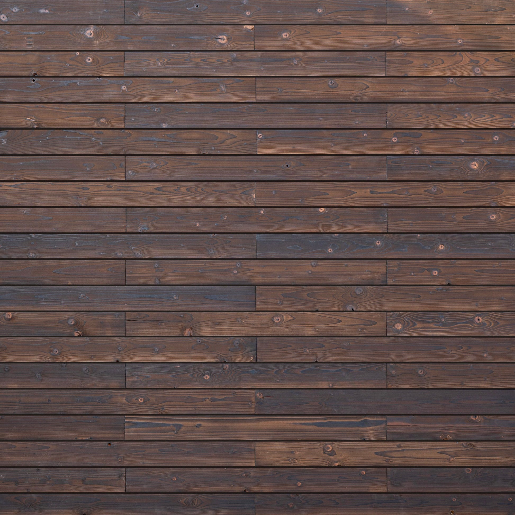 Charred Wood Wall Cladding - Shou Sugi Ban Medium Roast Timber Panels - Wall Panelling by Audrini Living